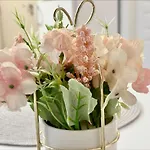 Menada Romance Marine Apartment